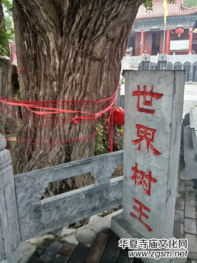 ǧ��ńx������ɽ������