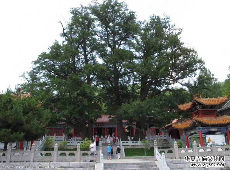 ǧ��ńx������ɽ������