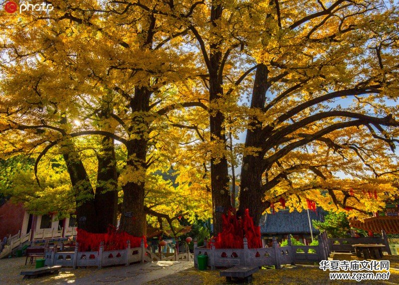 ǧ��ńx������ɽ������