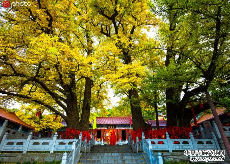 ǧ��ńx������ɽ������