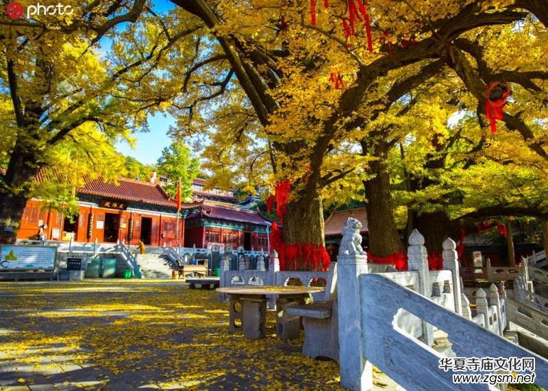 ǧ��ńx������ɽ������