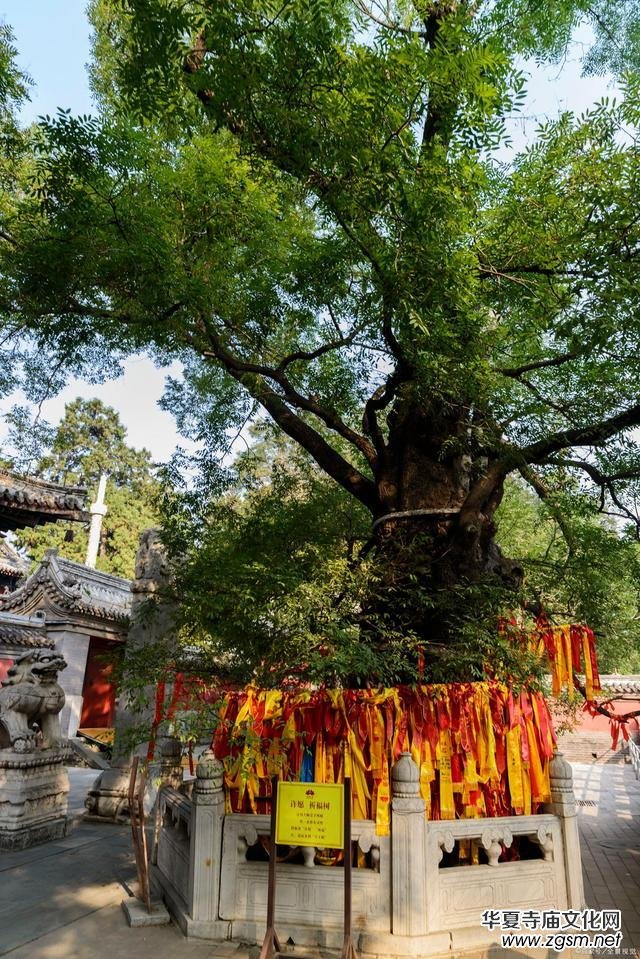 ��������ǧ���R���ڽ���Ҫ�ʵ����I�����x����ֻ��70����