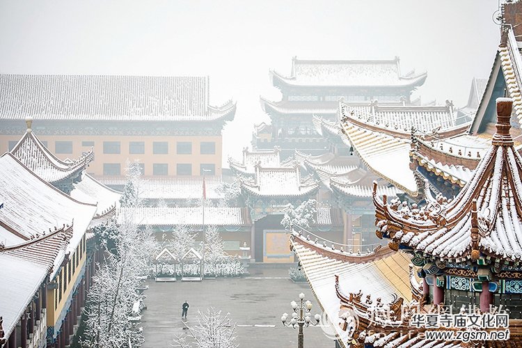 �������D��ѩ��Ĳ�ɽ���X�¸����f��(y��n)