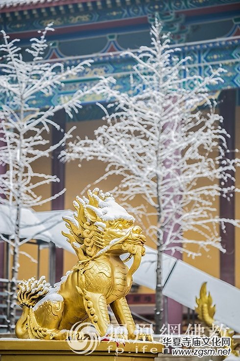 �������D��ѩ��Ĳ�ɽ���X�¸����f��(y��n)