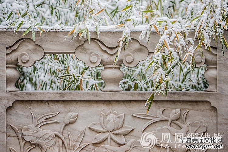 �������D��ѩ��Ĳ�ɽ���X�¸����f��(y��n)