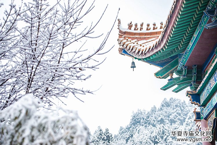 �������D��ѩ��Ĳ�ɽ���X�¸����f��(y��n)