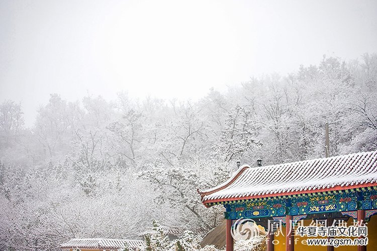 �������D��ѩ��Ĳ�ɽ���X�¸����f��(y��n)