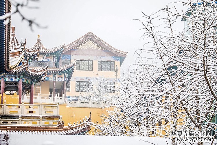 �������D��ѩ��Ĳ�ɽ���X�¸����f��(y��n)