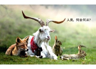 ��ʳ�Ļ������(l��i)�����ķ����O(sh��)���á����а