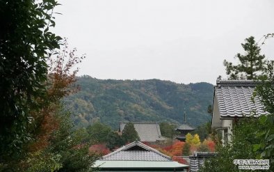 ��һ�������ڰβ����X���������_����һ�� | �þӹPӛ