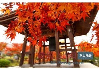 ʥ��(y��n)�����������Z�Ա��(hu��)�p�ٿ����Ƿ�