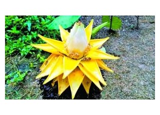 �ńx���A��ǧ�~��ɏ�`�Ż��_��ɫ���˷Q��(�D)