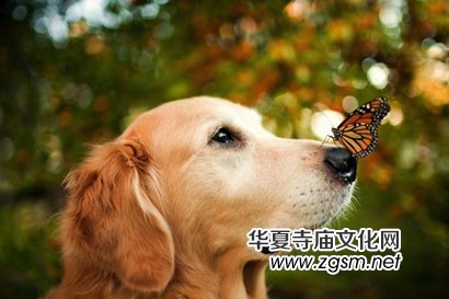 ��һՈ(q��ng)���أ����Ҟ�ʲô���������cһλ�|�f(w��n)���̵Č�(du��)Ԓ