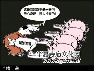 素食健康:轟動美國的營養(yǎng)報告 吃肉無異于吃毒 素食健康:轟動美國的營養(yǎng)報告 吃肉無異于吃毒