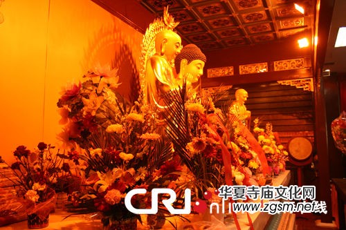 ������̾�ʿ�ֵľ�ʿ����(�D)