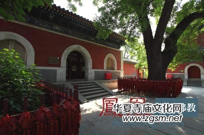 ��(x��)��(sh��)������Щ��̫�O(ji��n)���X�������`�(y��n)�R