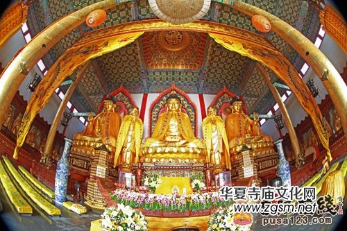 �����S÷���