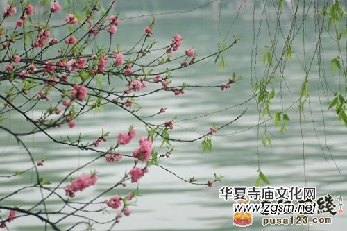 �Ł��������F�U��&nbsp;Ҋ�߼���ĶUԊ���p