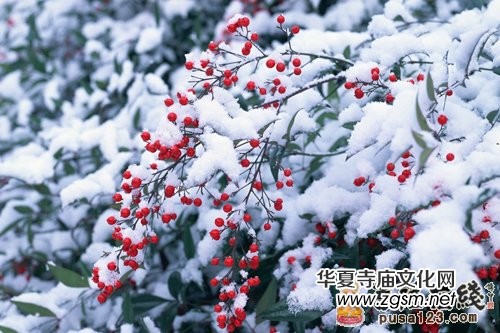 �Ł��������F�U��&nbsp;Ҋ�߼���ĶUԊ���p