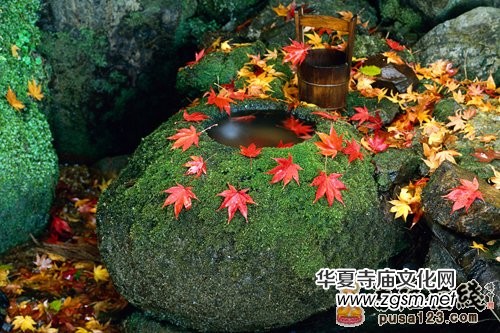 �Ł��������F�U��&nbsp;Ҋ�߼���ĶUԊ���p