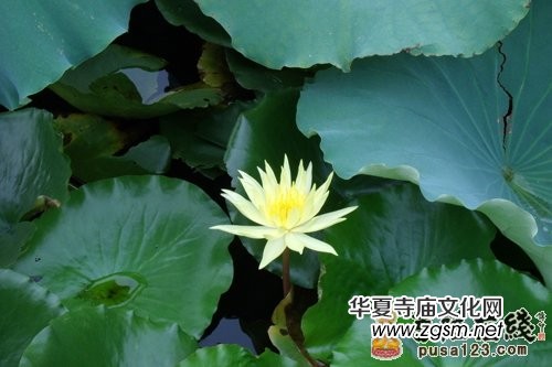 �Ł��������F�U��&nbsp;Ҋ�߼���ĶUԊ���p