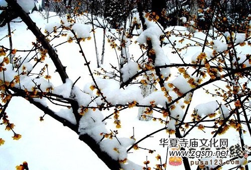 �Ł��������F�U��&nbsp;Ҋ�߼���ĶUԊ���p