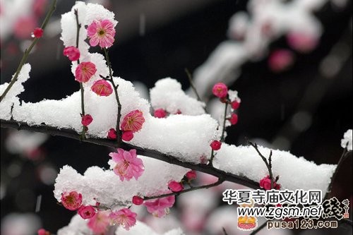 �Ł��������F�U��&nbsp;Ҋ�߼���ĶUԊ���p