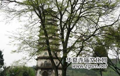 ��ɽ�U�¹����q��&nbsp;��ȱ�����^픾������@���Q֮��