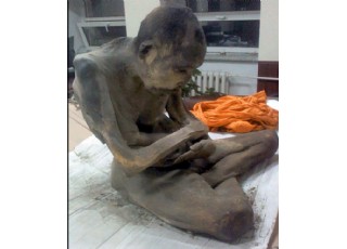 �ɹŇ��l(f��)�F(xi��n)200��ǰ����ľ�����ԾS�ִ����˄�(�D)