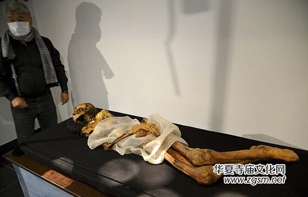 �ɹŇ��l(f��)�F(xi��n)200��ǰ����ľ����&nbsp;�ԾS�ִ����˄�(�D)