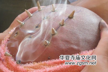 ȼ�����۹���͟�����Пo��(j��ng)������(j��)���кβ�ͬ��