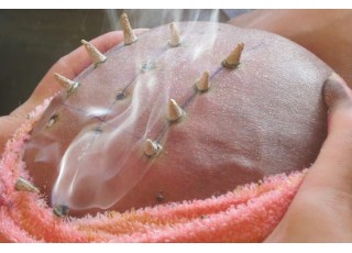 ȼ�����۹���͟�����Пo��(j��ng)������(j��)���кβ�ͬ��