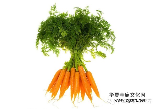 春天吃什么可以快長(zhǎng)個(gè)? 春天吃什么可以快長(zhǎng)個(gè)?