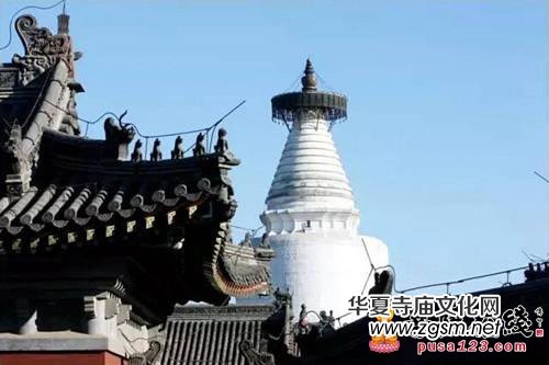 ���ص�Ԫ������ˇ�g