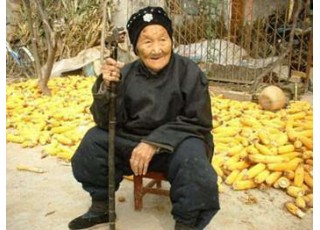 �ٚq�����B(y��ng)���ǻۣ��D�D���������������\(y��n)��(d��ng)