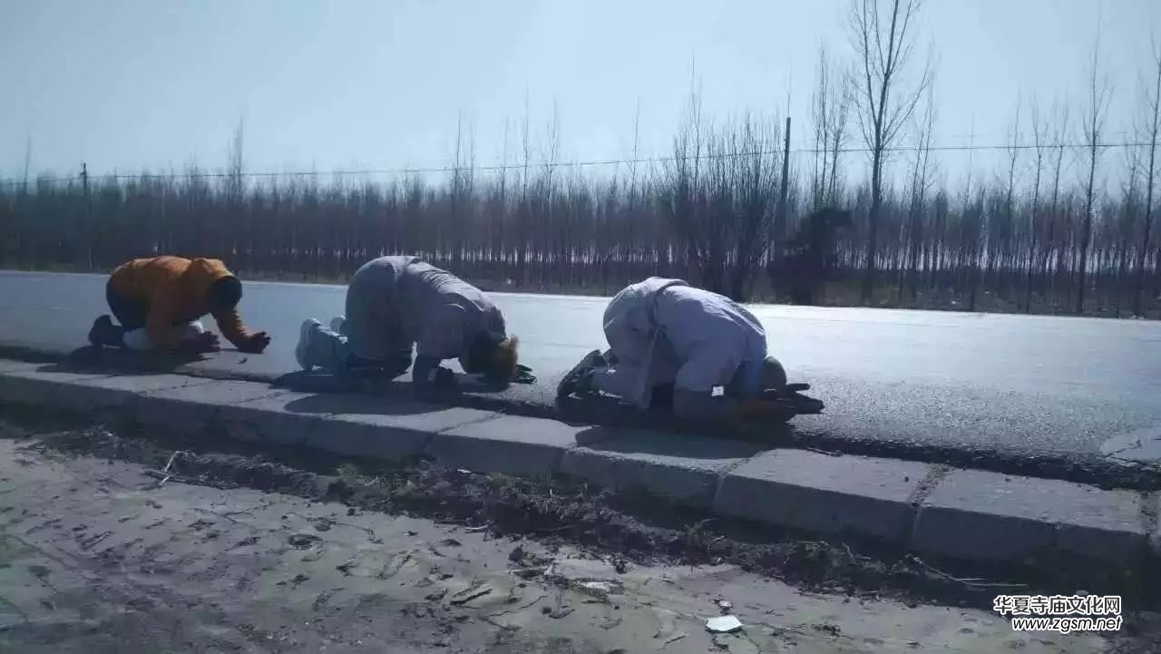 2016�ꌤ���������_�����E--�������_ɽͨ��