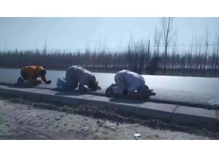 2016�ꌤ���������_�����E--�������_(t��i)ɽͨ��