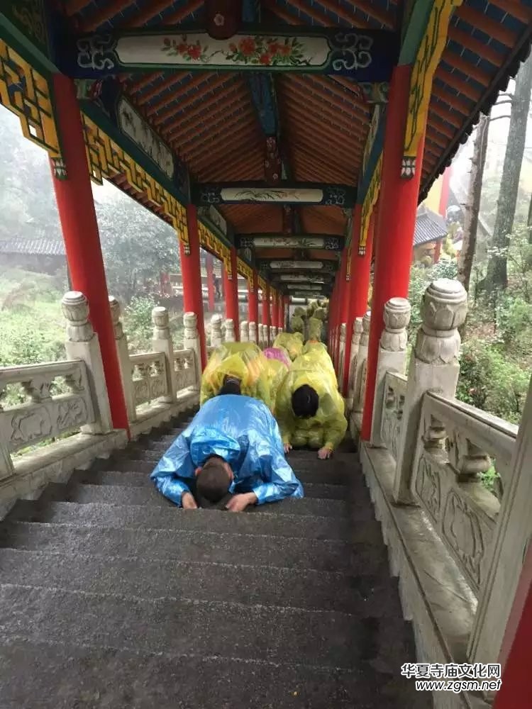 2016��������(ji��)���ݾ��Aɽ�A�M