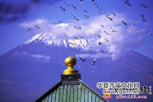 �����ڽְ̾l(f��)�ģ��@Щ������ʽҪ��ֹ��