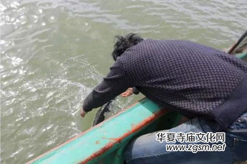 寧波漁民意外捕獲中華鱘 將其放生 寧波漁民意外捕獲中華鱘 將其放生