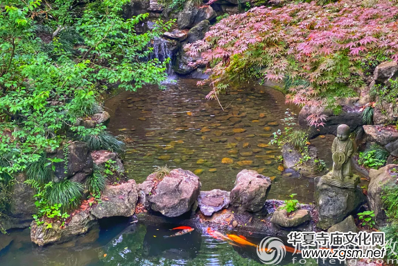 ������������B(y��ng)ʮ���(bi��o)��(zh��n)����������ώחl