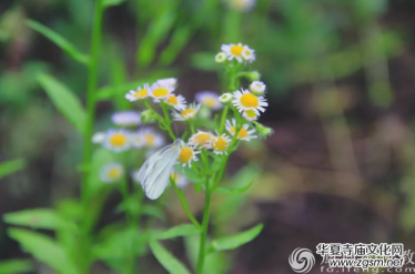 Ԕ�⣡����ϑ���������f���W(xu��)���ȌW(xu��)����