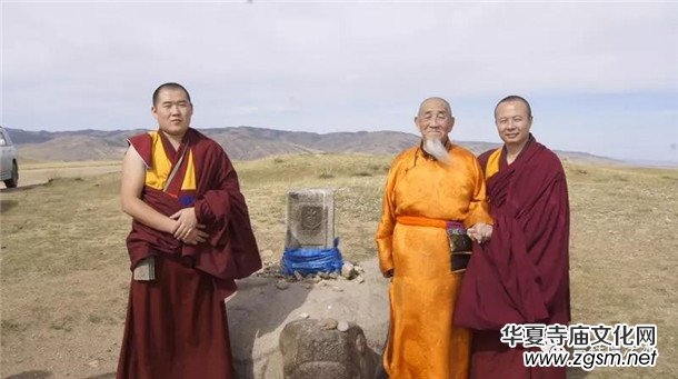 �����ώ�--��ľ��D������