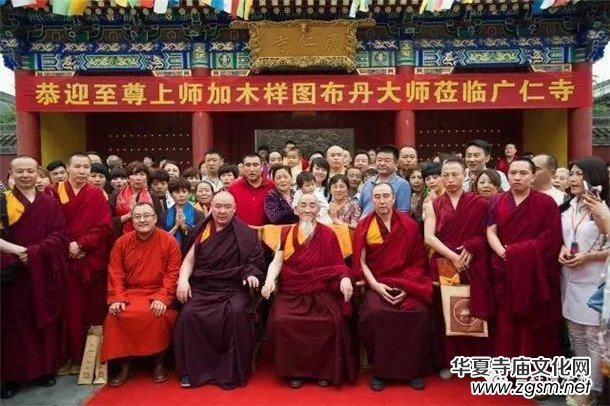 �����ώ�--��ľ��D������