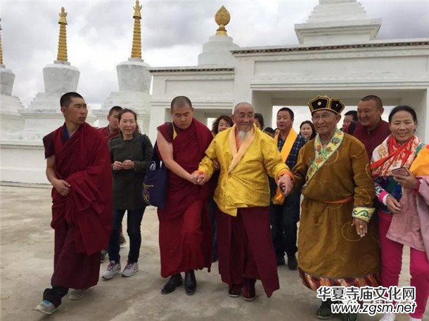 �����ώ�--��ľ��D������