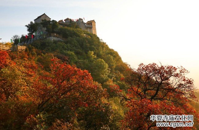 河南林州:秋染柏尖 共賞紅葉 河南林州:秋染柏尖 共賞紅葉