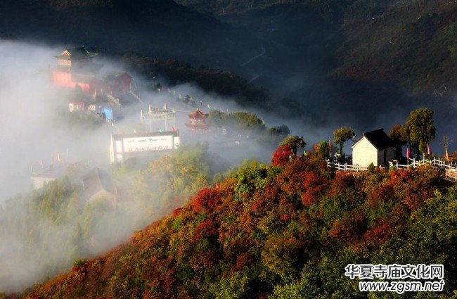 河南林州:秋染柏尖 共賞紅葉 河南林州:秋染柏尖 共賞紅葉