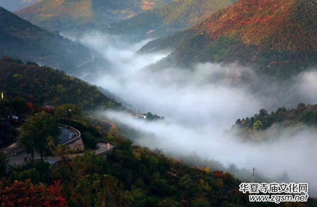 河南林州:秋染柏尖 共賞紅葉 河南林州:秋染柏尖 共賞紅葉