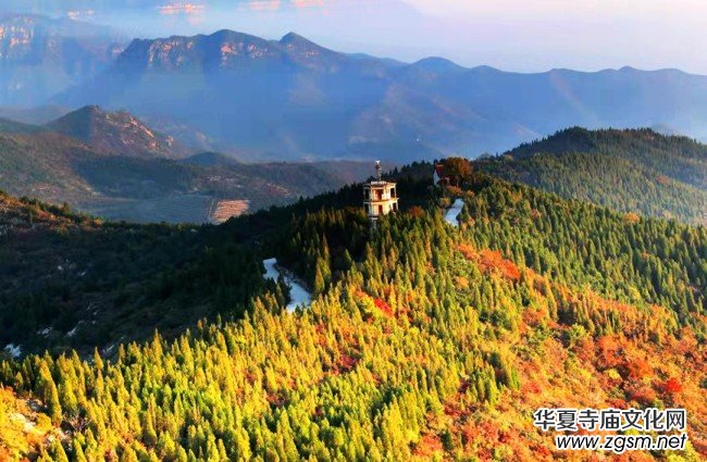 河南林州:秋染柏尖 共賞紅葉 河南林州:秋染柏尖 共賞紅葉