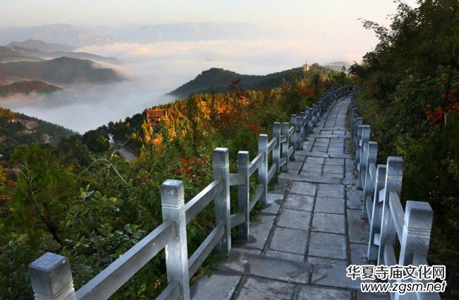 河南林州:秋染柏尖 共賞紅葉 河南林州:秋染柏尖 共賞紅葉